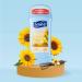Suave Everlasting Sunshine Women's Deodorant Stick 2.6 oz | 48-Hour Odor & Wetness Protection - Buy Online on GoSupps.com