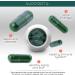 Organic Spirulina & Chlorella Capsules - Detox & Energy Support, 90 Pills, 3X More Chlorella Spirulina Powder - Buy Online on GoSupps.com
