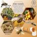 5g Bee Balm with Sea Buckthorn Oil from NORDBIENCHEN - Buy Online on GoSupps.com