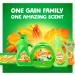 Buy Gain Fireworks In-Wash Scent Booster - Island Fresh 12.2 oz | International Shipping Available - Buy Online on GoSupps.com