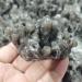 Natural Stone Black Rock Ghost Phantom Quartz Cluster Specimen Home Decoration Ornament Can be Used for (Size : 150-200g) Crystal Cluster (Size : 250-300g) - Buy Online on GoSupps.com