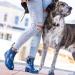 NORTY Women's Ankle Rain Boots - Waterproof Garden Boot 9 Black White Paw Print - Buy Online on GoSupps.com