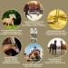 Rice Germ Oil Flaxseed Oil Amino Acids 2*1L 30ml for Horses Plus Vitamin E + Amino More Complex Muscle Building Selenium Free Lysine Replenishing Food Supplement - Buy Online on GoSupps.com