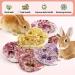 Buy Abiz 6-Pack Natural Luffa Rabbit Cake Toys for Guinea Pigs & Small Pets - Perfect for Hamsters Rabbits Rats & Chinchillas - Buy Online on GoSupps.com