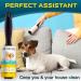 Large Pet Hair Lint Rollers - Sticky Remover for Furniture, Clothes, and Carpet - Dog, Cat, and Animal Hair - White (Pack of 5) - Buy Online on GoSupps.com