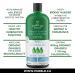 Organic Liquid Greens Unflavoured Chlorophyll - 4 Organic Grasses - 400mg / svg - Detox - Alkaline - Natural Body Deodorant Antioxidant - Made in Canada (12X60ml) - Buy Online on GoSupps.com