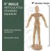 US Art Supply Wood Artist Drawing Manikin - Flexible Body with Base, 5 Male - Ideal for Human Figure Sketching - Buy Online on GoSupps.com