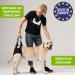 Premium XL Blue Dog Rehabilitation Aid - Neoprene Walking Support for Spine Hip & Knee Issues | From Nature Pet - Buy Online on GoSupps.com