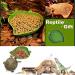 Bailinks 2 Pieces Tortoise Water Bowls Reptile Food Water Bowls Leaf Shape tortoise accessories Tortoise Food Bowl for Crawl Pet Tortoises or Small Reptiles - Buy Online on GoSupps.com