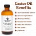 Organic Cold-Pressed Castor Oil 16oz - 100% Pure & Natural for Skin, Hair Growth, Eyelashes - USDA Certified, Hexane & BPA Free - Buy Online on GoSupps.com