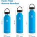 Hydro Flask 21 oz. Water Bottle - Stainless Steel  Reusable  Vacuum Insulated with Standard Mouth Flex Lid   Fog Fog 21 oz - Buy Online on GoSupps.com
