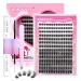 wiwoseo Cluster Lashes Individual Cluster Lashes Kit DIY Lash Extension Kit DD Curl Individual Lashes with Bond and Seal Russian Cluster Lashes DIY at Home Lash Extensions Kit (0.07d 8-16MM) L-cluster lashes kit 8-16MM