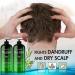Tea Tree Oil Shampoo and Conditioner Set - Sulfate Free for Dry Itchy Scalp - With Tea Tree, Mint, and Ginger Extract - Paraben Free - Suitable for Men, Women, and Kids - Buy Online on GoSupps.com