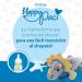 Dr. Brown's Baby Lovey Pacifier & Teether Holder  Triceratops with Grey HappyPaci  100% Silicone  0-12m - Buy Online on GoSupps.com