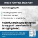 Vitality Now Youthful Brain 4-Bottle Bundle - Memory & Brain Health Support Supplement - Bacopa Monnieri, Ginkgo Biloba, B12 - 240-Day Supply - 960 Capsules - Buy Online on GoSupps.com