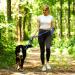 Shop Vivaglory Traffic Handle Dog Leash - Reflective Padded Strong Metal Hook - 1.8m Blue Training Line for Dogs - Buy Online on GoSupps.com