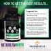Night Time Metabolism & Restorative Sleep Support Supplement - PM Muscle Recovery with Amino Acids - 60 Capsules - Buy Online on GoSupps.com