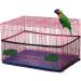 Bird Cage Seed Catcher Cover - Nylon Mesh, Dust-Proof & Breathable - L Black - Buy Online on GoSupps.com