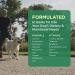Pet-Tabs Plus Multivitamin for Dogs | 180 Chewable Tablets | Essential Nutrients for Special Needs Pets - International Shipping Available - Buy Online on GoSupps.com