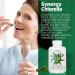 Synergy Natural Organic Chlorella 200 Tablets - Pure and Potent Superfood Supplement - Buy Online on GoSupps.com