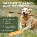Maison Naturelle Joint Complex for Dogs - 100 Tablets of Green Lip Shell Glucosamine MSM & Chondroitin - Premium Joint Support for Dogs - Buy Online on GoSupps.com