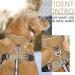 Heele Dog Crockery & Harness for Medium Dogs | Front & Back Clip Adjustable Dog Dishes - Buy Online on GoSupps.com