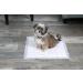 Hartz Odor Eliminating Dog Pads Regular 21 X 21 (50 Count) - Lavender Scented - Buy Online on GoSupps.com