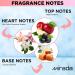 MIRADA Perla Women's Eau de Parfum (EDP) 3.4 FL. Oz (100ml) Women s Perfume with Notes of Apple Berry Lily Orchid Green Jasmine Caramel Musk - Buy Online on GoSupps.com