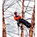 NorthPada High Strength Polyester Rock Climbing Rope - 32 FT Orange Static Line for Arborist, Boat Anchor, and Tree Cutting/Climbing - Buy Online on GoSupps.com