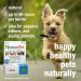 HomeoPet Cough  Natural Cough Treatment for Pets  15 Milliliters 0.08 - Buy Online on GoSupps.com