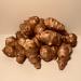 Sunchokes / Jerusalem Artichokes - 3 pounds (3lbs) for Planting or Eating - Adama Foods
