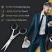 WILKIE Professional Beard Scissors for Men | Moustache & Beard Trimming Scissors with PU Leather Case | Sharp Scissor for Precise Shaping | Cutting Facial Hair Nose Hair & Eyebrow - Buy Online on GoSupps.com
