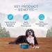 Blue Buffalo Wilderness High Protein Grain Free Natural Adult Large Breed Dry Dog Food Chicken 10.8kg bag - 24 lb kibble Large Breed Chicken High Protein Grain Free - Buy Online on GoSupps.com