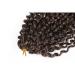 12 Inch Short Passion Twist Hair Marlybob Crochet Hair - 6 Bundles 12 Kinky Curly Crochet Hair for Black Women - Buy Online on GoSupps.com