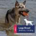 KONG Aqua Floating Fetch Toy for Large Dogs | Water Play Toy - Buy Online on GoSupps.com