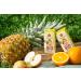 H llinger Bio Multi Sunrise Lot de 24 bo tes de 200 ml - Buy Online on GoSupps.com