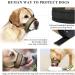 Adjustable Heele Dog Muzzle with Head Belt - No Rubbing Comfortable Fit for Safe Dog Training - Buy Online on GoSupps.com