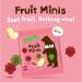 BEAR Strawberry & Apple Paws - Real Fruit Snack for 12+ Months - Healthy & Delicious - 18x20g - Buy Online on GoSupps.com