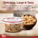 Tropgo Roasted Unsalted Cashews 180g Tub - Cashew Nuts in Resealable and Recyclable Tub - Wholesome Trail Mix with Fibre Protein and Essential Minerals - Healthy Snacks for All Ages - Buy Online on GoSupps.com