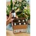 Organic Rosehip Juice 6 Pack (6x250ml) - Bio Pure Cold-Pressed Vegan No Additives - KO - Berriespolska  - Buy Online on GoSupps.com