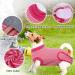 Hjumarayan Dog Recovery Suit - Medical Shirt for Small & Medium Dogs | Anti-Lick Protective Clothing | Post-Surgery Wound Care - Red Striped M Size - Buy Online on GoSupps.com