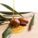 Petal Fresh Argan Oil & Shea Body Scrub 16 oz - Nourishing Exfoliant for Radiant Skin - Buy Online on GoSupps.com
