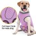 Dog Dividers for Surgical Wounds | Breathable Anti-Losing Cone | E-Neck Band Alternative | XXXL Pink - 1 Pack - Buy Online on GoSupps.com
