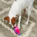 Outward Hound Invincibles Mini Pig Plush Dog Toy - XS - Buy Online on GoSupps.com