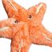 Deluxe Paws Plush Eco Toy 100% Recycled - Starfish - Buy Online on GoSupps.com