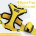 Rabbitgoo Cat Dishes & Soft Harness Set | No Breakout Cat Harness for Ultimate Comfort - Buy Online on GoSupps.com
