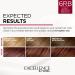 L'Oreal Paris Excellence Creme 6RB Light Reddish Brown Hair Color - Gray Coverage for Up to 8 Weeks - All Hair Types - 1 Count Pack - Buy Online on GoSupps.com