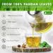 Lavendium Premium 30 Pandan Leaf Tea Bags 100% Natural & Pure from Pandan Leaves. Loose Leaf Pandan Herbal Tea. Made with Natural Material Tea Bags. No Sugar No Caffeine No Gluten Vegan. - Buy Online on GoSupps.com