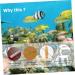 MipCase Mini Refrigerator Hygrometer - 3-Piece Glass Temperature & Humidity Measuring Device for Home & Aquarium - Multi-functional 5.5x5x1.5cm - Buy Online on GoSupps.com