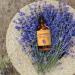 Buy Lavender Essential Oil 4 oz - 100% Pure & Therapeutic Grade by Mary Tylor Naturals for Aromatherapy - Buy Online on GoSupps.com